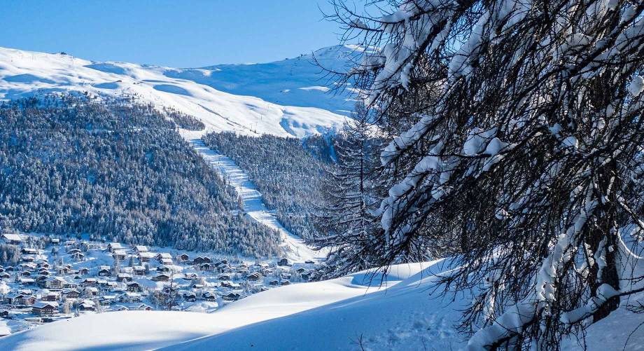 Inverno speciale a Livigno: scenari da fiaba